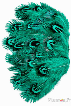 Fagiano dorato - 5-8 cm - menta-smeraldo